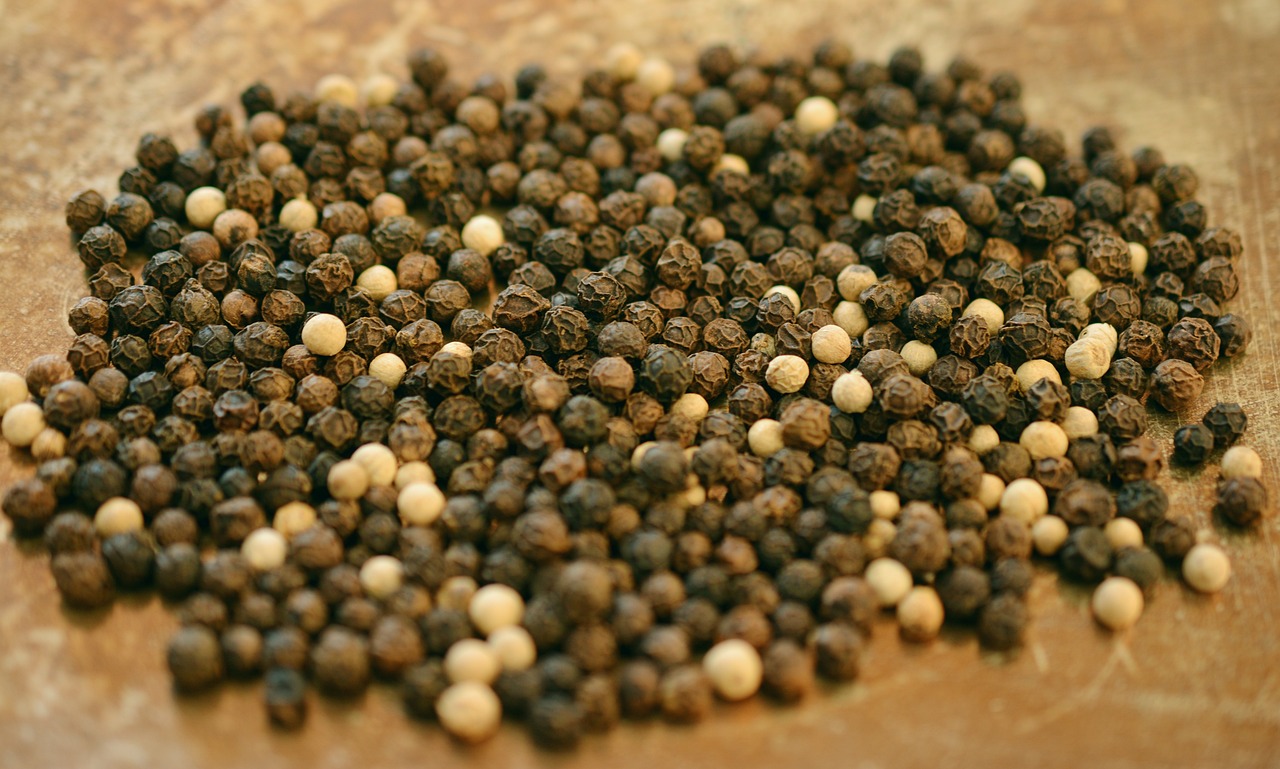 Image of Piper nigrum L.