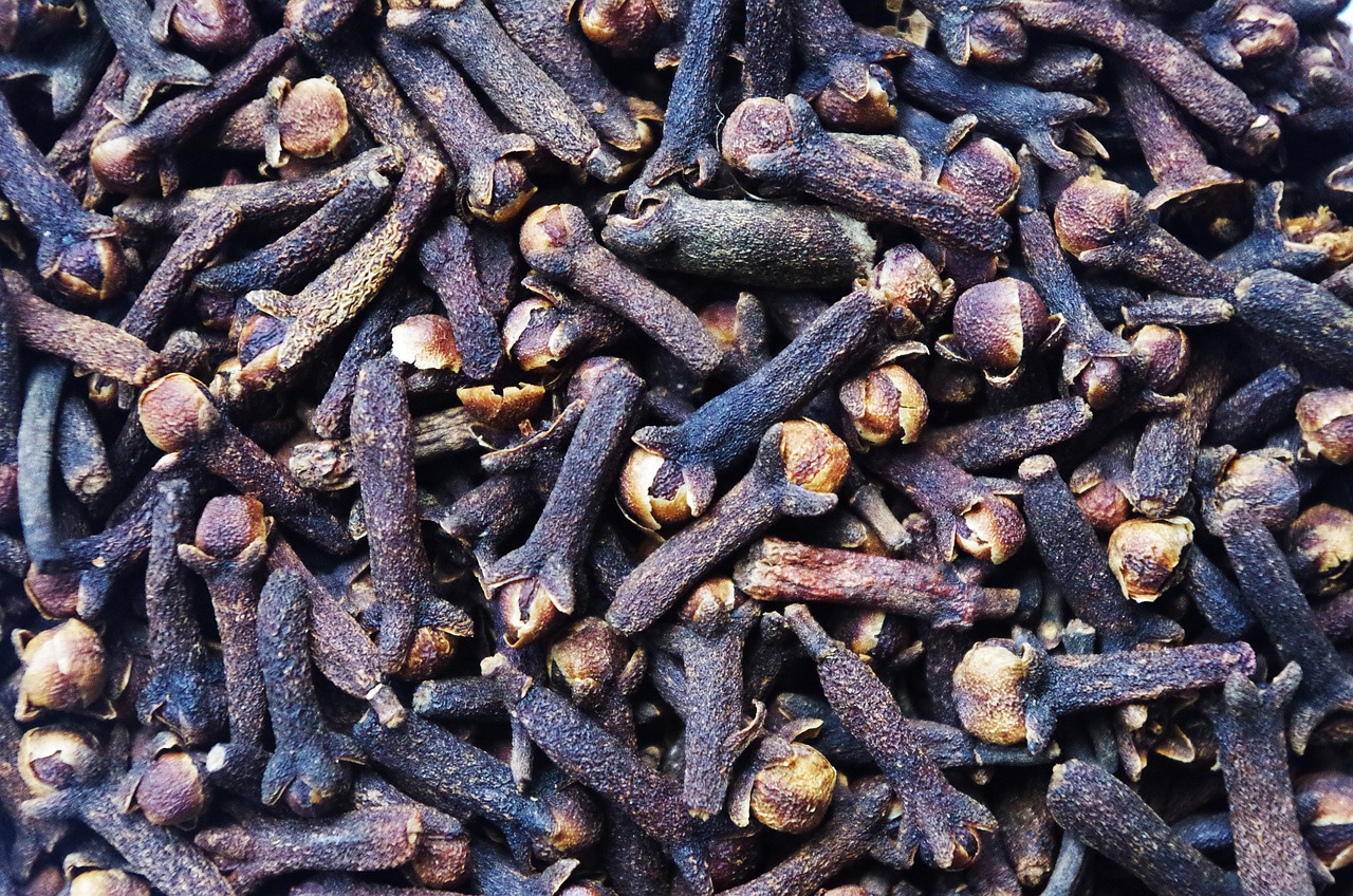 Image of Syzygium aromaticum (L.) Merr. & L.M.Perry
