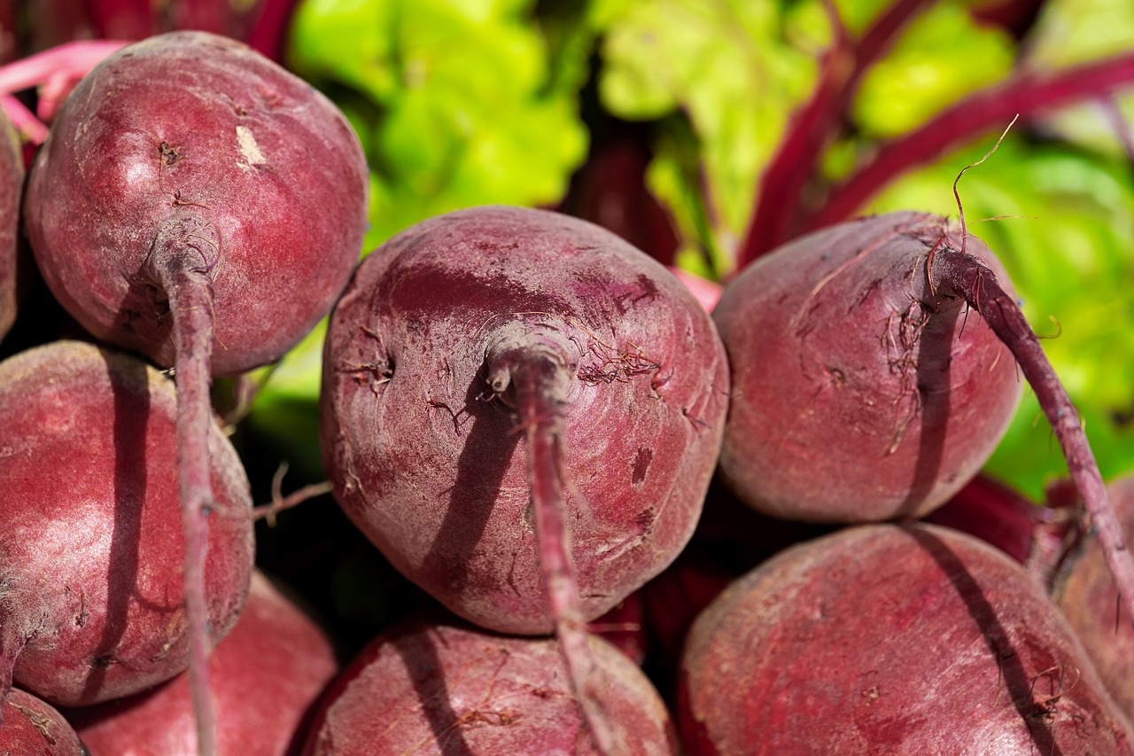 Image of Beta vulgaris L. (var. esculenta)